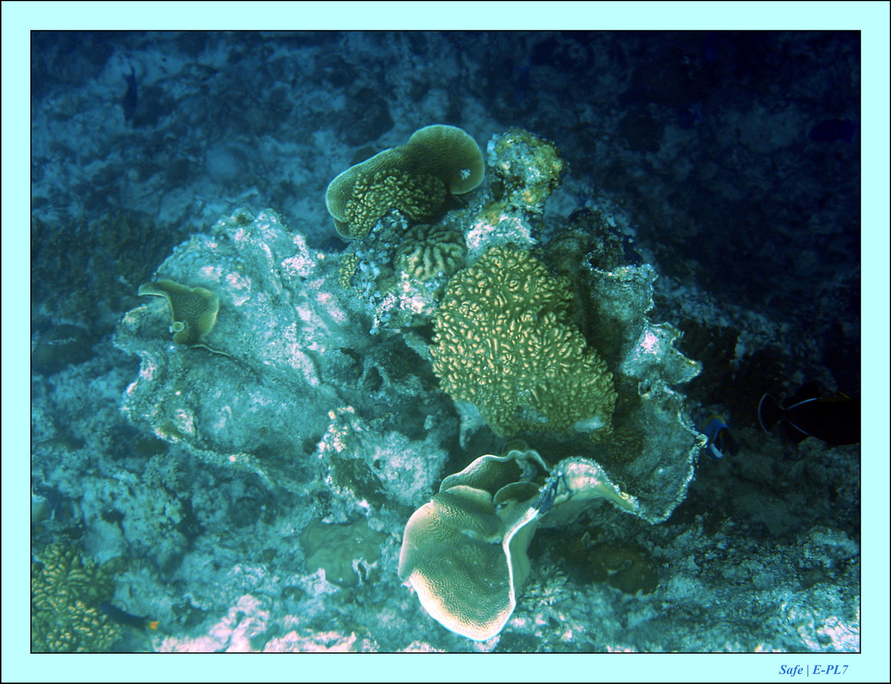 2023 - 07 - Sandies Bathala - 139